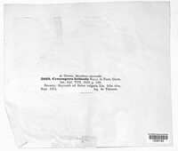 Image Associated With the Occurence